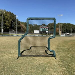 Combo Professional Baseball/Softball Screen